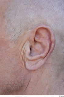 Street  809 ear 0001.jpg